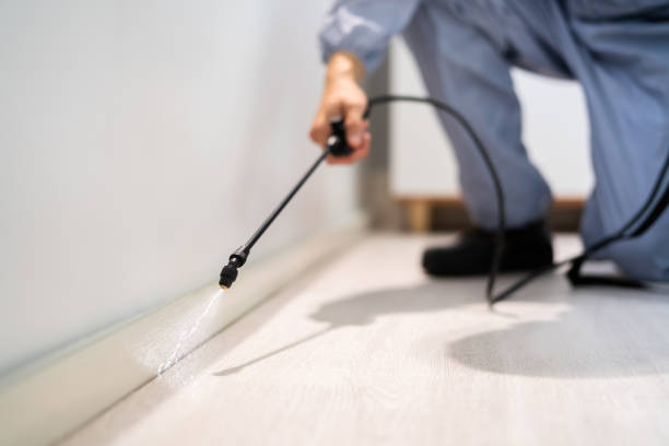 Licensed Exterminator service in Medicine Lodge, KS - Show Me Pest Control