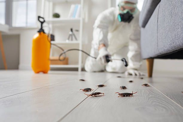 Commercial Rodent Management in Medicine Lodge